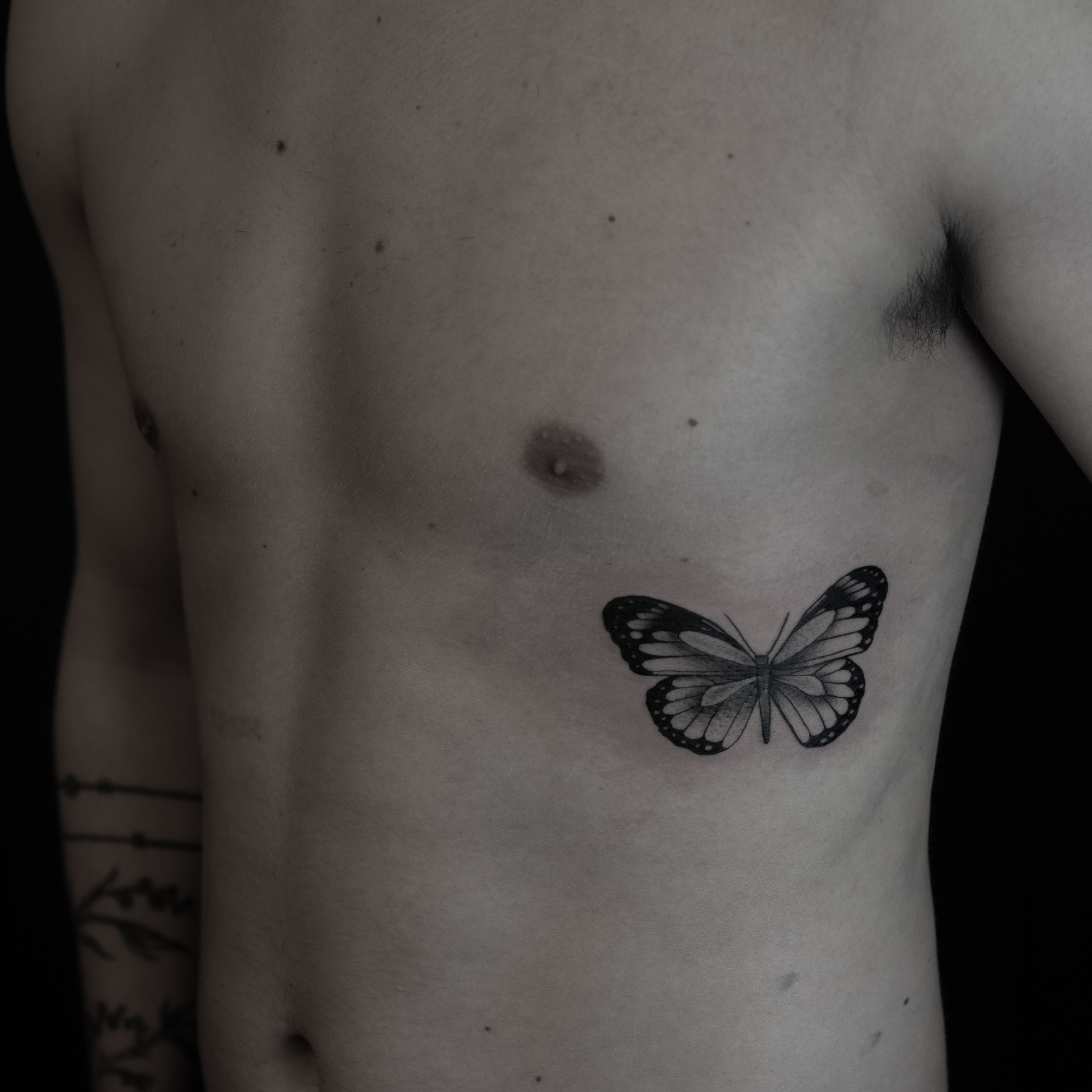 030223butterfly